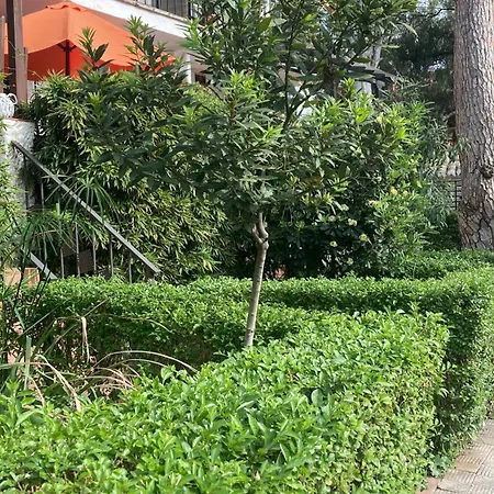 El Apartamento De La Paz * Marbella