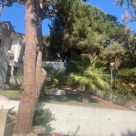 El Apartamento De La Paz Marbella